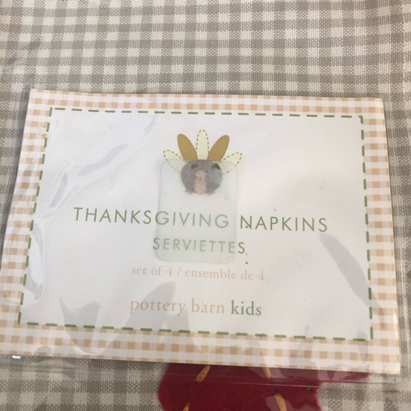 Pottery Barn Kids Holiday Turkey Placemats Napkins Poshmark